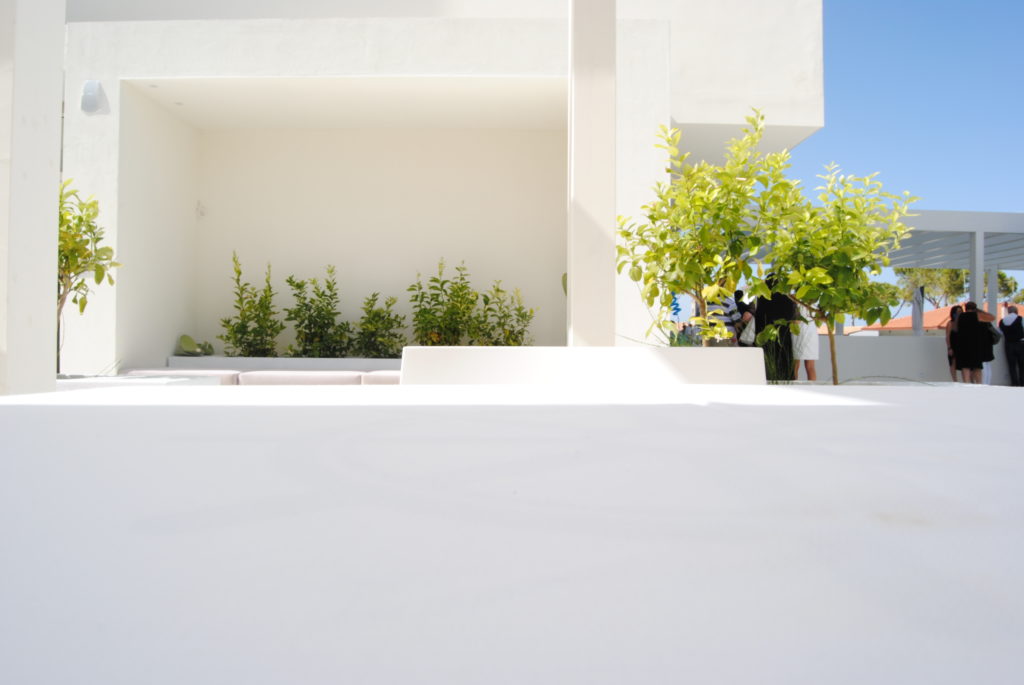 DSC_0117 - Copia